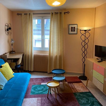 Appartements Chauffour - Colmar Centre Zewnętrze zdjęcie